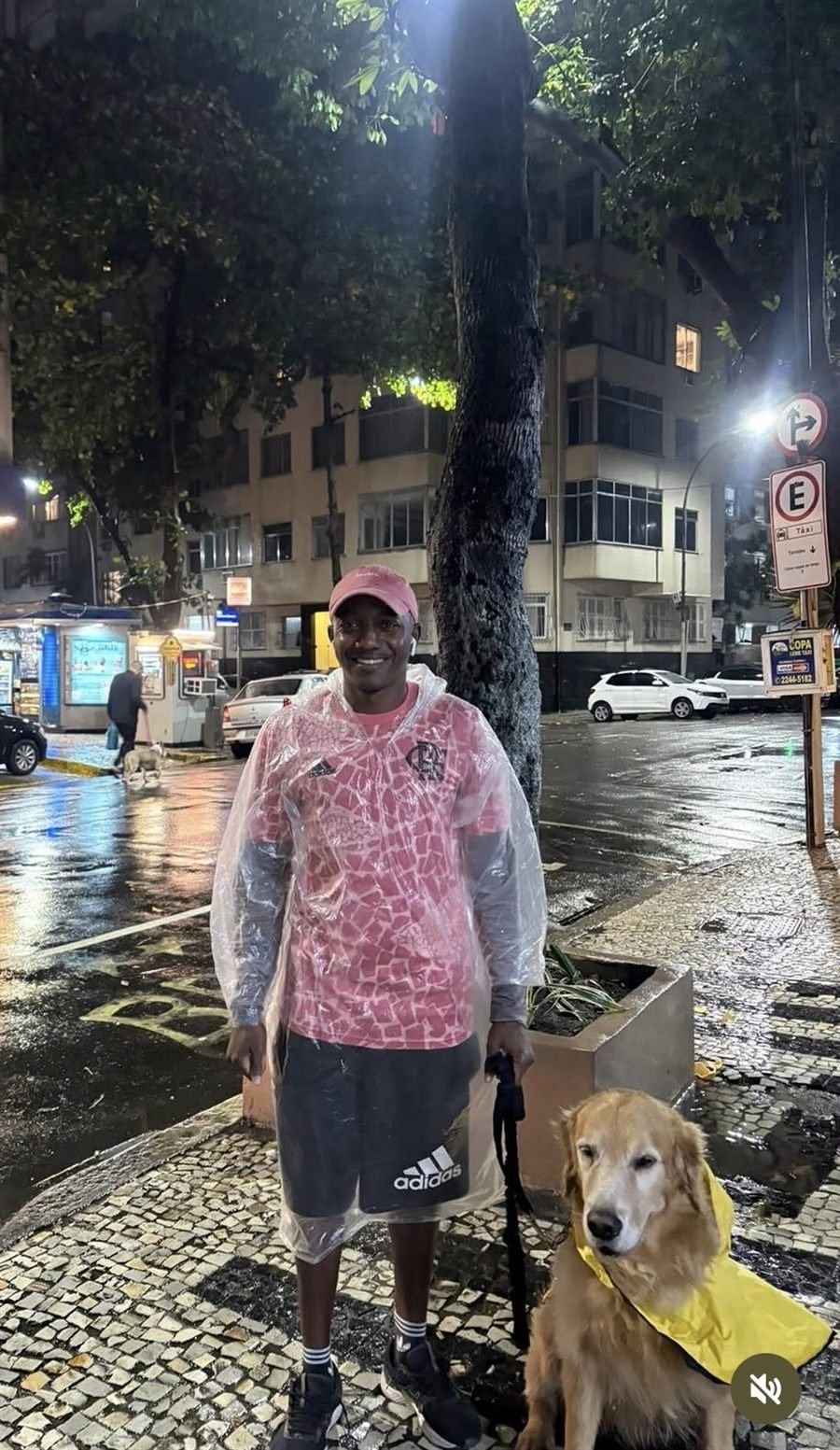 Breno de capa de chuva ao lado de um golden retriever vestindo capinha amarela