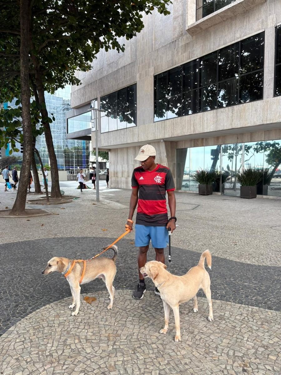 Nelie e Kenai, dois cães caramelo, no passeio com o Breno